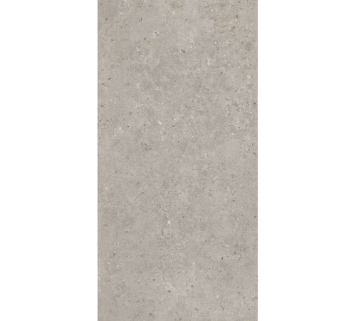 Керамогранит Kerama Marazzi Риккарди серый светлый матовый обрезной 60x119.5 см SG519920R