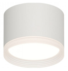 Накладной светильник Apeyron Electrics Nimbus 16-126