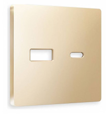 Накладка для розетки type A и C Ambrella Volt Quant AP6110