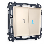 Выключатель двухклавишный с подсветкой без рамки Ambrella Volt Quant MA324020