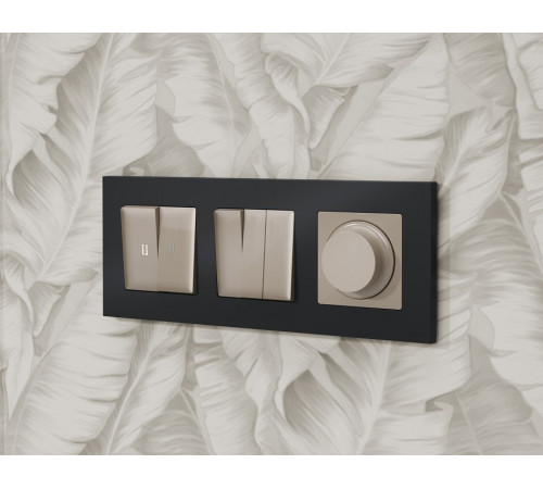 Выключатель проходной двухклавишный с подсветкой Ambrella Volt Quant MA364035