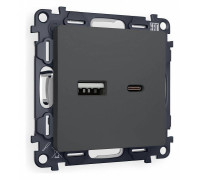 Розетка 2хUSB type A и C без рамки Ambrella Volt Quant MA911010