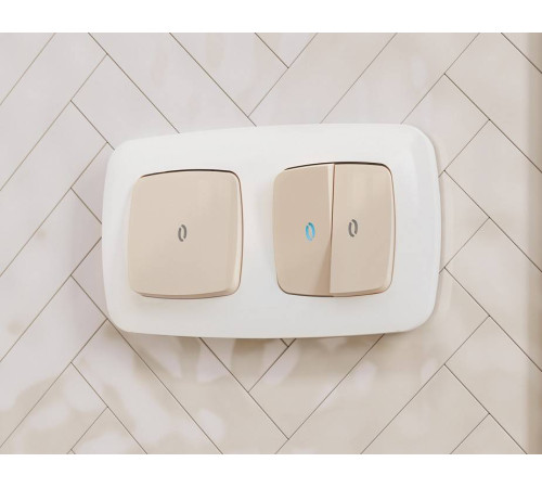 Рамка на 2 поста Ambrella Volt Ecta OF140102