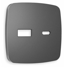 Накладка для розетки type A и C Ambrella Volt Quant OP6610