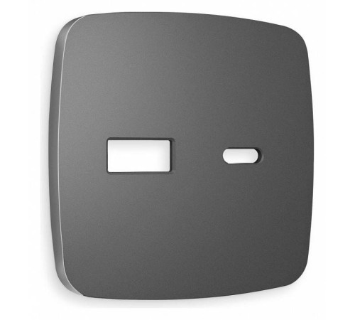 Накладка для розетки type A и C Ambrella Volt Quant OP6610