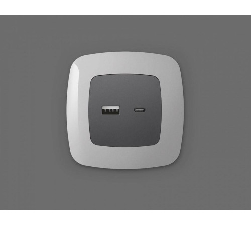 Накладка для розетки type A и C Ambrella Volt Quant OP6610