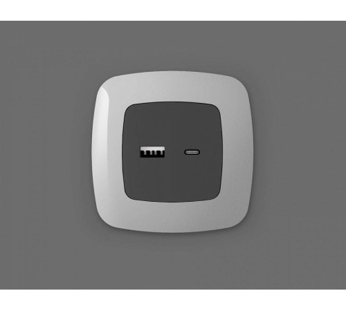 Накладка для розетки type A и C Ambrella Volt Quant OP9110