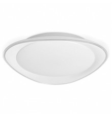 Накладной светильник Ambrella Light FF FF44