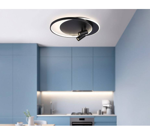 Накладной светильник Ambrella Light FL FL51393