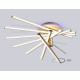 Потолочная люстра Ambrella Light COMFORT FL6244