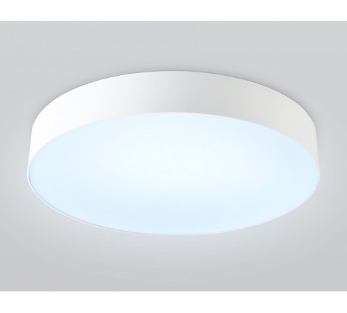 Накладной светильник Ambrella Light ORBITAL FZ1355