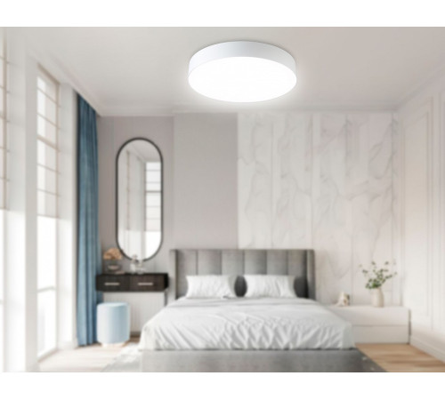 Накладной светильник Ambrella Light ORBITAL FZ1355