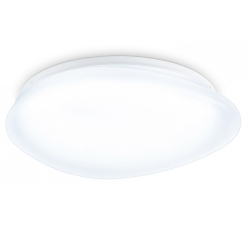 Накладной светильник Ambrella Light ORBITAL FZ1601