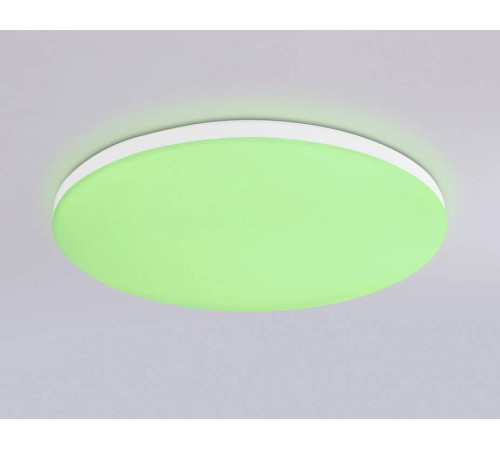 Накладной светильник Ambrella Light FZ FZ2001