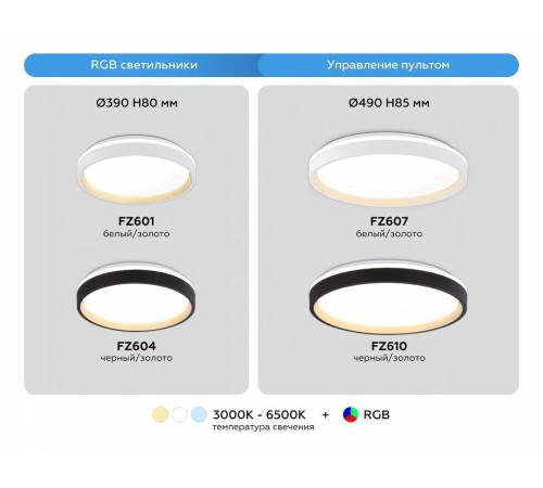 Накладной светильник Ambrella Light FZ FZ604