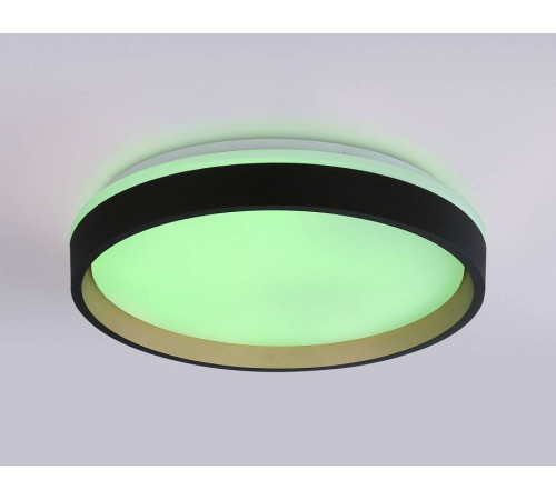 Накладной светильник Ambrella Light FZ FZ604