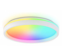 Накладной светильник Ambrella Light FZ FZ607