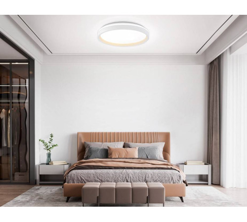 Накладной светильник Ambrella Light FZ FZ607