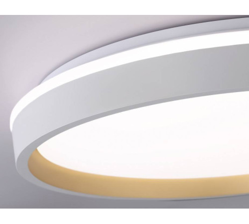 Накладной светильник Ambrella Light FZ FZ607