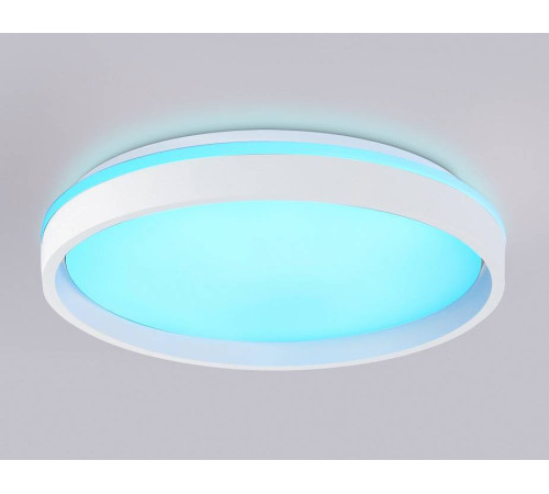 Накладной светильник Ambrella Light FZ FZ607