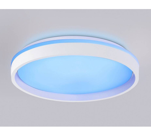 Накладной светильник Ambrella Light FZ FZ607