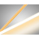 Лента светодиодная Ambrella Light GS4601