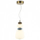 Подвесной светильник Ambrella Light LH LH53162