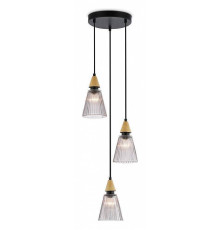 Подвесной светильник Ambrella light LH LH58112
