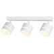 Спот Ambrella Light TN TN71062