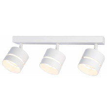 Спот Ambrella Light TN TN71062