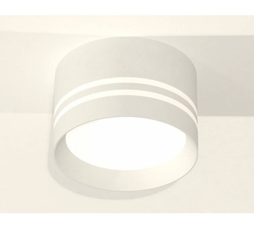 Накладной светильник Ambrella Light XS XS8101021