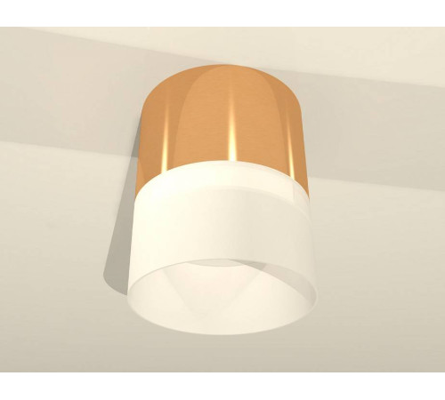 Накладной светильник Ambrella Light XS XS8121011