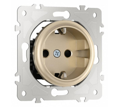 Розетка с заземлением и со шторкой, без рамки Arte Milano am-202 202.40-1.shampan