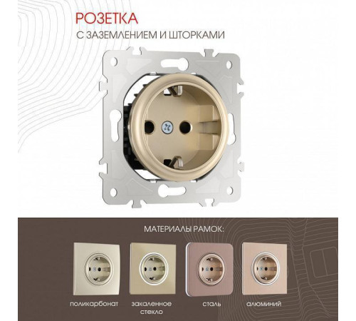 Розетка с заземлением и со шторкой, без рамки Arte Milano am-202 202.40-1.shampan