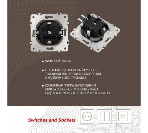 Розетка с заземлением и со шторкой, без рамки Arte Milano am-202 202.40-1.shampan