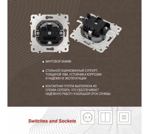Розетка с заземлением и со шторкой, без рамки Arte Milano am-202 202.40-1.silver