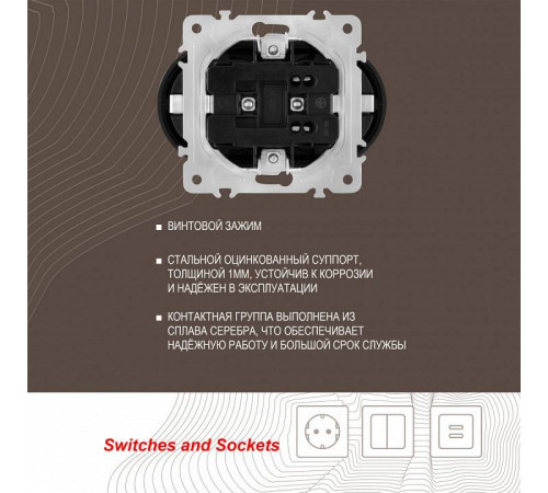 Розетка двойная с заземлением, без рамки Arte Milano am-202 202.40-2.shampan