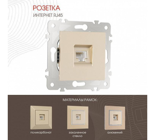 Розетка Ethernet RJ-45 без рамки Arte Milano am-203 203.45-1.shampan