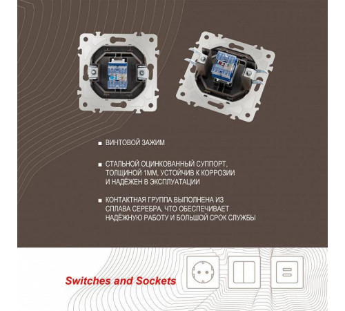 Розетка Ethernet RJ-45 без рамки Arte Milano am-203 203.45-1.shampan