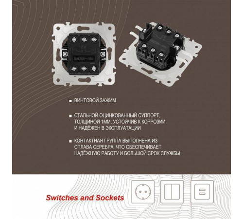 Выключатель проходной двухклавишный без рамки Arte Milano 205 205.32-2.shampan