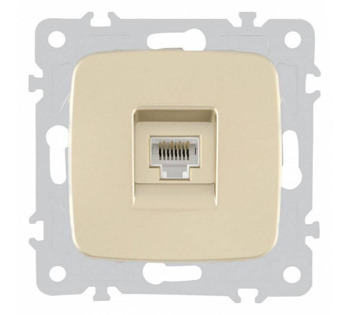 Розетка Ethernet RJ-45 без рамки Arte Milano am-205 205.45-1.shampan