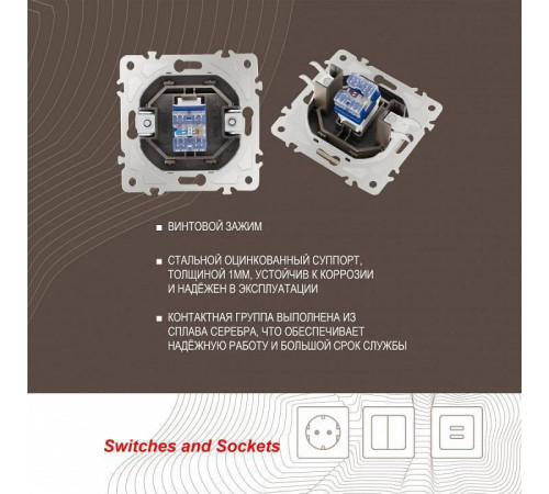 Розетка Ethernet RJ-45 без рамки Arte Milano am-205 205.45-1.shampan