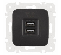 Розетка USB, без рамки Arte Milano am-205 205.46-1.black