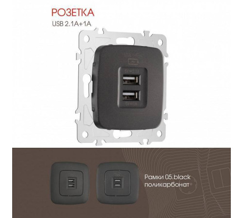 Розетка USB, без рамки Arte Milano am-205 205.46-1.black