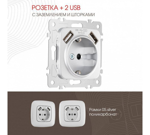 Розетка с заземлением и со шторкой и 2хUSB, без рамки Arte Milano am-205 205.47-1.silver