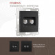 Розетка двойная RJ-11 и Ethernet RJ-45, без рамки Arte Milano am-206 206.44-1.black
