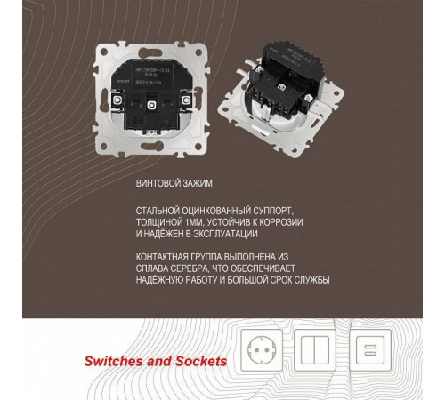 Розетка с заземлением и со шторкой и 2хUSB, без рамки Arte Milano am-206 206.47-1.white