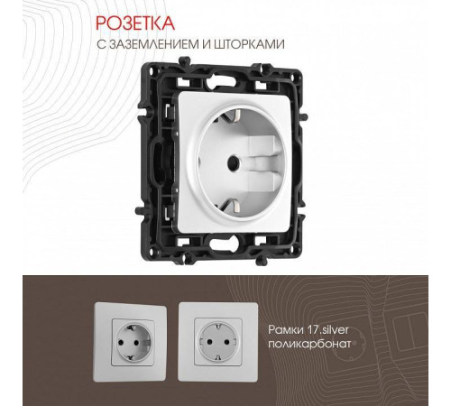 Розетка с заземлением и со шторкой, без рамки Arte Milano am-217 217.40-1.silver