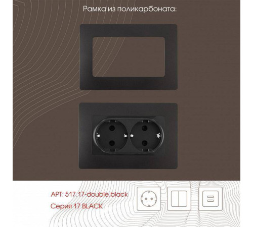 Розетка двойная с заземлением, без рамки Arte Milano am-217 217.40-2.black