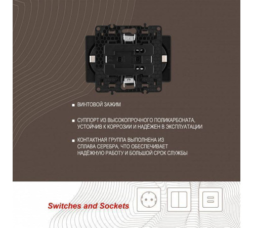 Розетка двойная с заземлением, без рамки Arte Milano am-217 217.40-2.black